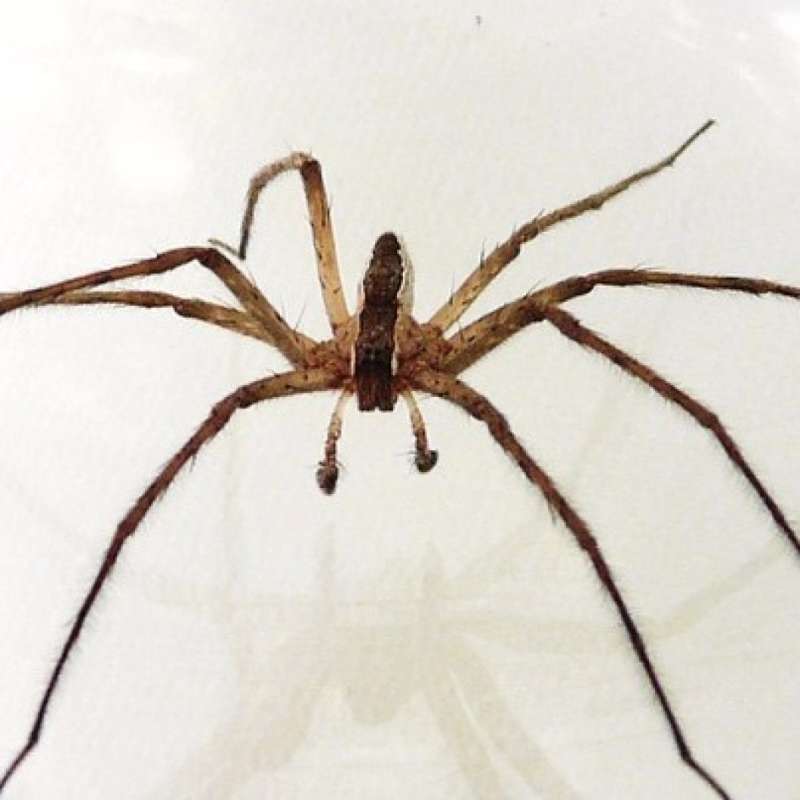 School and Daycare Pest Control School and Daycare Pest Control